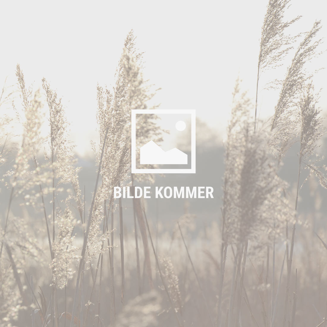 dummy-bilde-kommer_1100x1100px